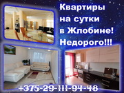 Отличная квартира на сутки в Жлобине! Н Е Д О Р О Г О !!! +375-29-111-94-48 +375-29-302-12-36 