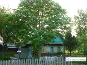 Сдается обжитый дом с землей,  с хоз. постройками,  15 км от Жлобина